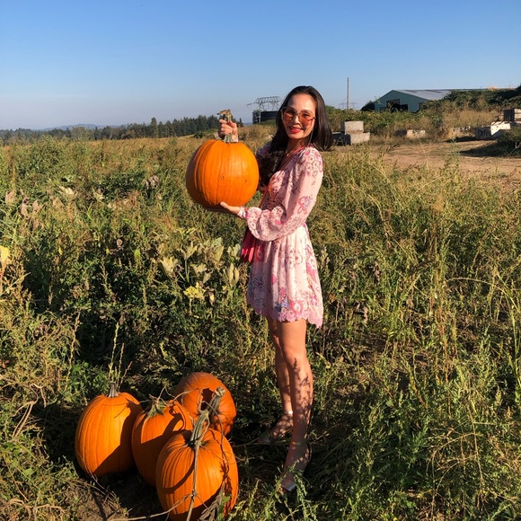 Hemant and Nandita Button Front Mini Dress XS - Picture 14 of 16